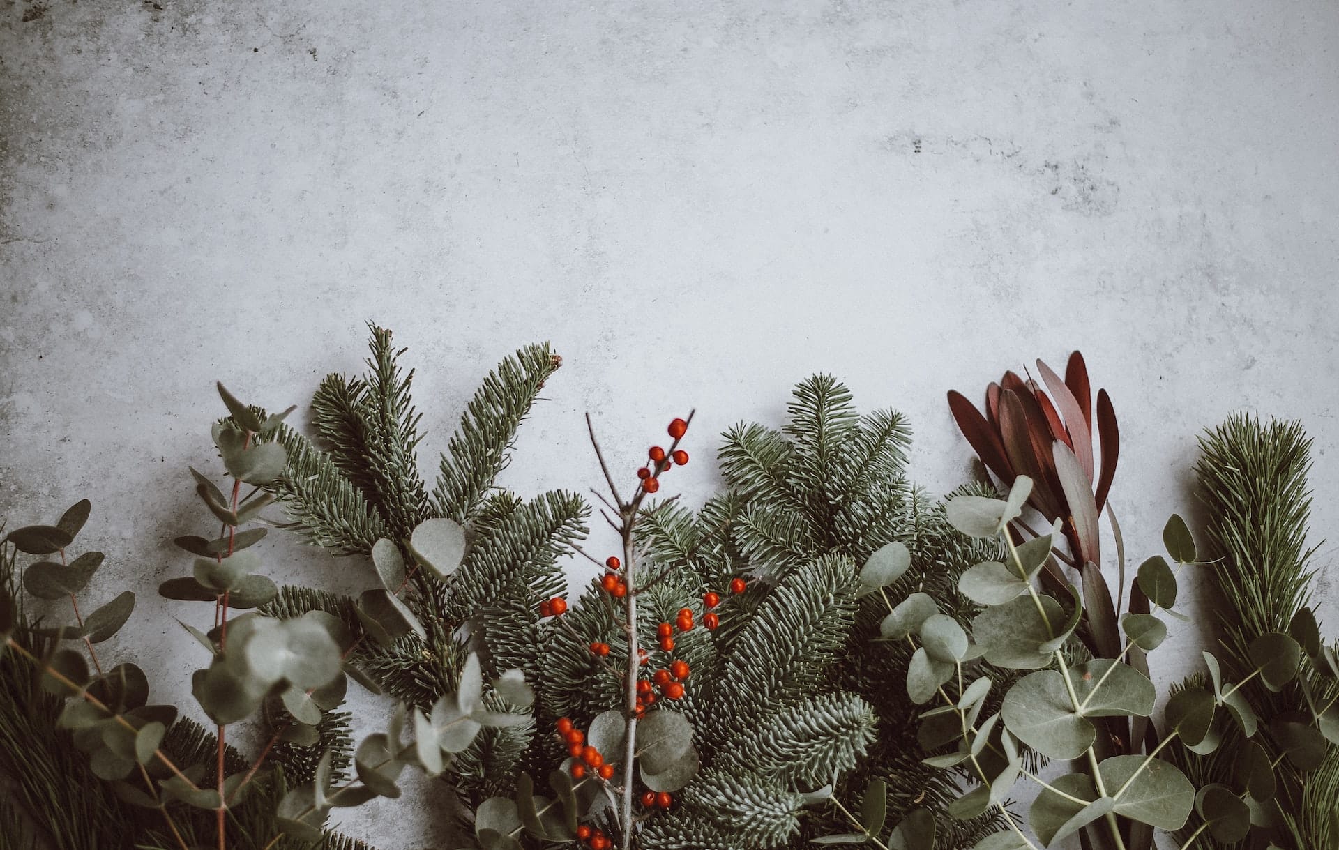 Grey background image with a collection of Christmas foliage