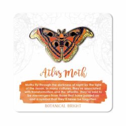 atlas-moth-pin-badge Atlas moth pin badge