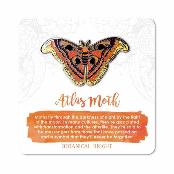 atlas-moth-pin-badge Atlas moth pin badge