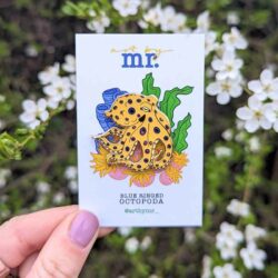 Blue-ringed octopus pin badge