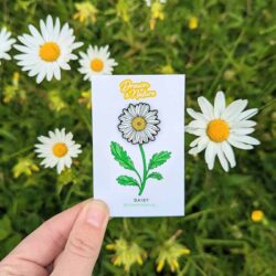 daisy-pin-badge Daisy flower pin badge