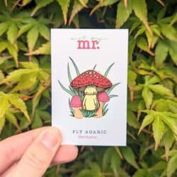 Fly agaric mushroom enamel pin badge