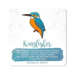 Kingfisher bird enamel pin badge