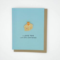 Like Cats Love Boxes - cat in a box pin badge greeting card