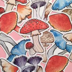 Mushrooms sticker pack